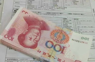 引领数字化未来 临沂网站建设与全网优化推广