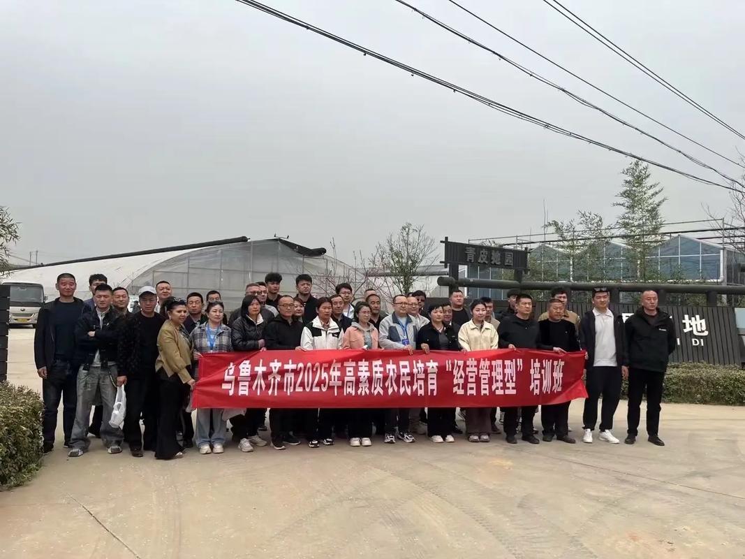 新疆乌鲁木齐高素质农民培训班现场观摩学习#农业技术推广 #南