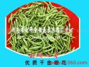 河南省封研金银花技术推广中心 专业相册展现技术实力